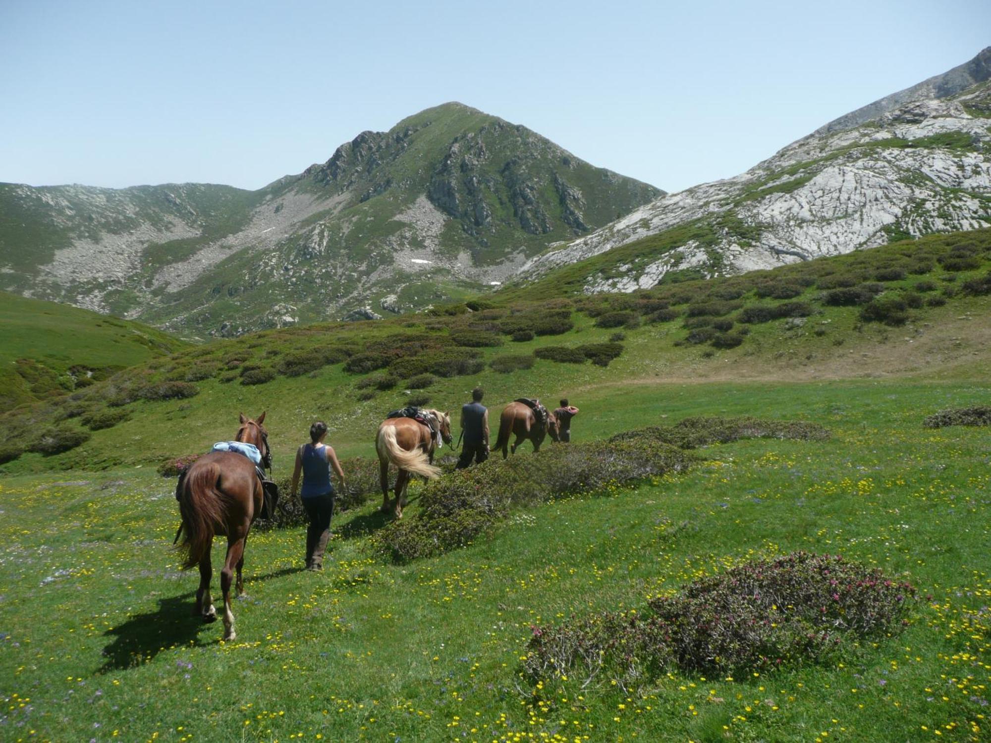 Agriturismo Bio-Ecologico Sant'Isidoro Roccaforte Mondovi ภายนอก รูปภาพ