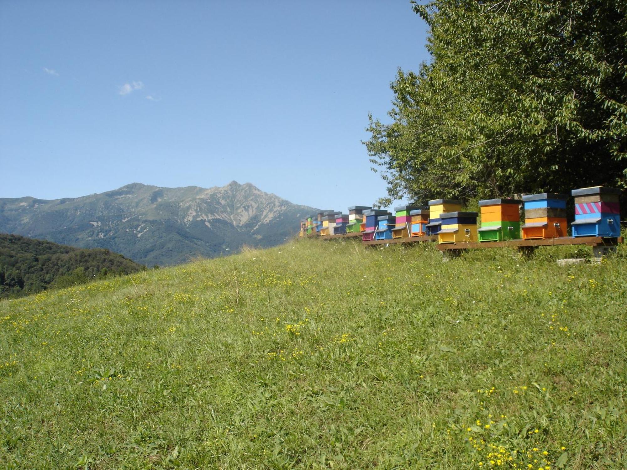 Agriturismo Bio-Ecologico Sant'Isidoro Roccaforte Mondovi ภายนอก รูปภาพ