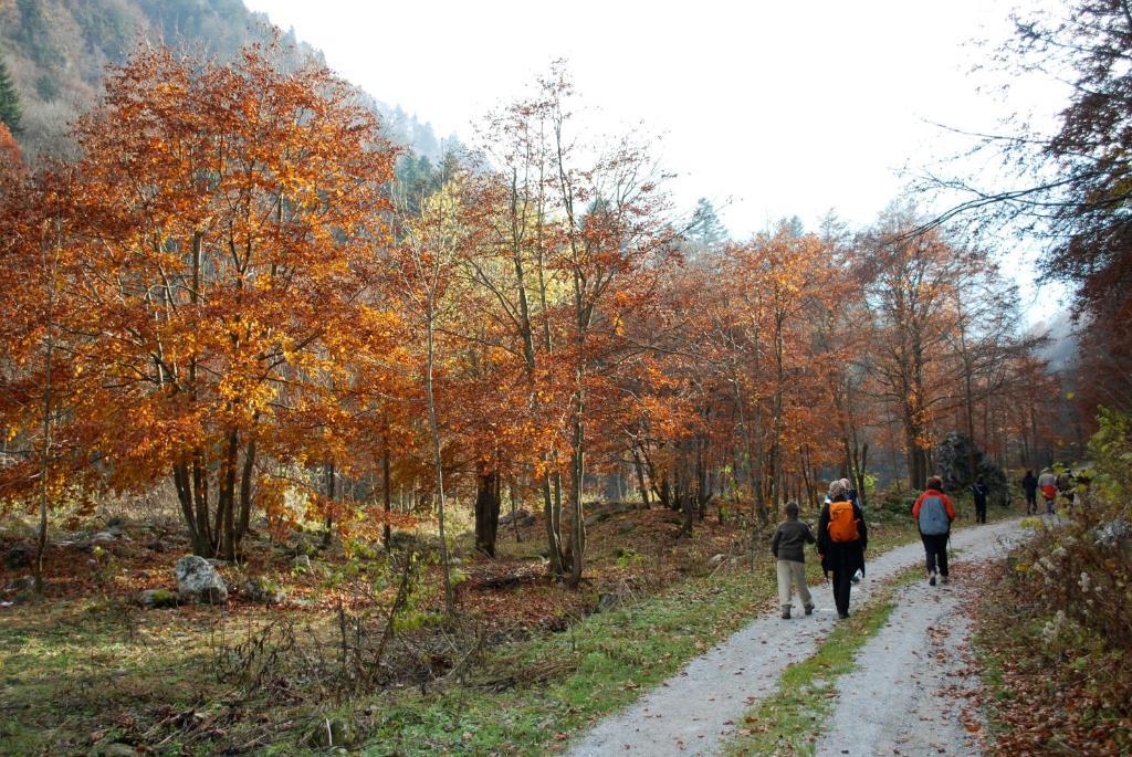 Agriturismo Bio-Ecologico Sant'Isidoro Roccaforte Mondovi ภายนอก รูปภาพ