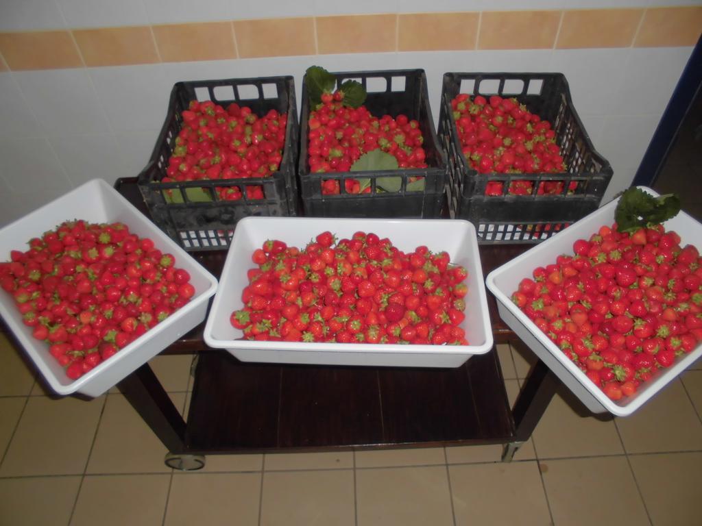 Agriturismo Bio-Ecologico Sant'Isidoro Roccaforte Mondovi ภายนอก รูปภาพ